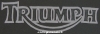 TRIUMPH IN PELLE BICOLORE